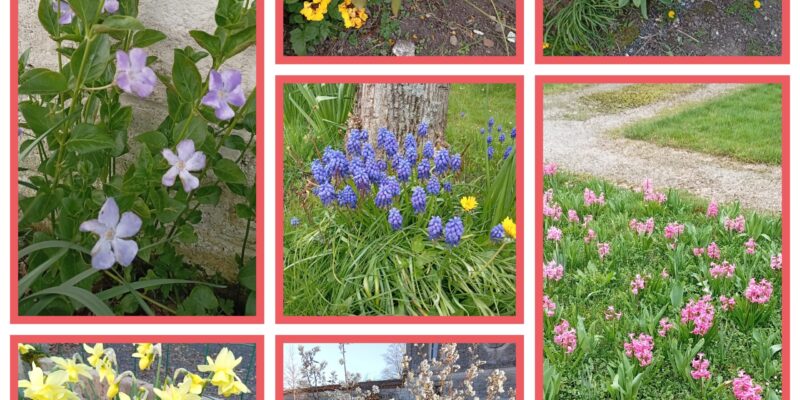 c&rsquo;est le printemps!