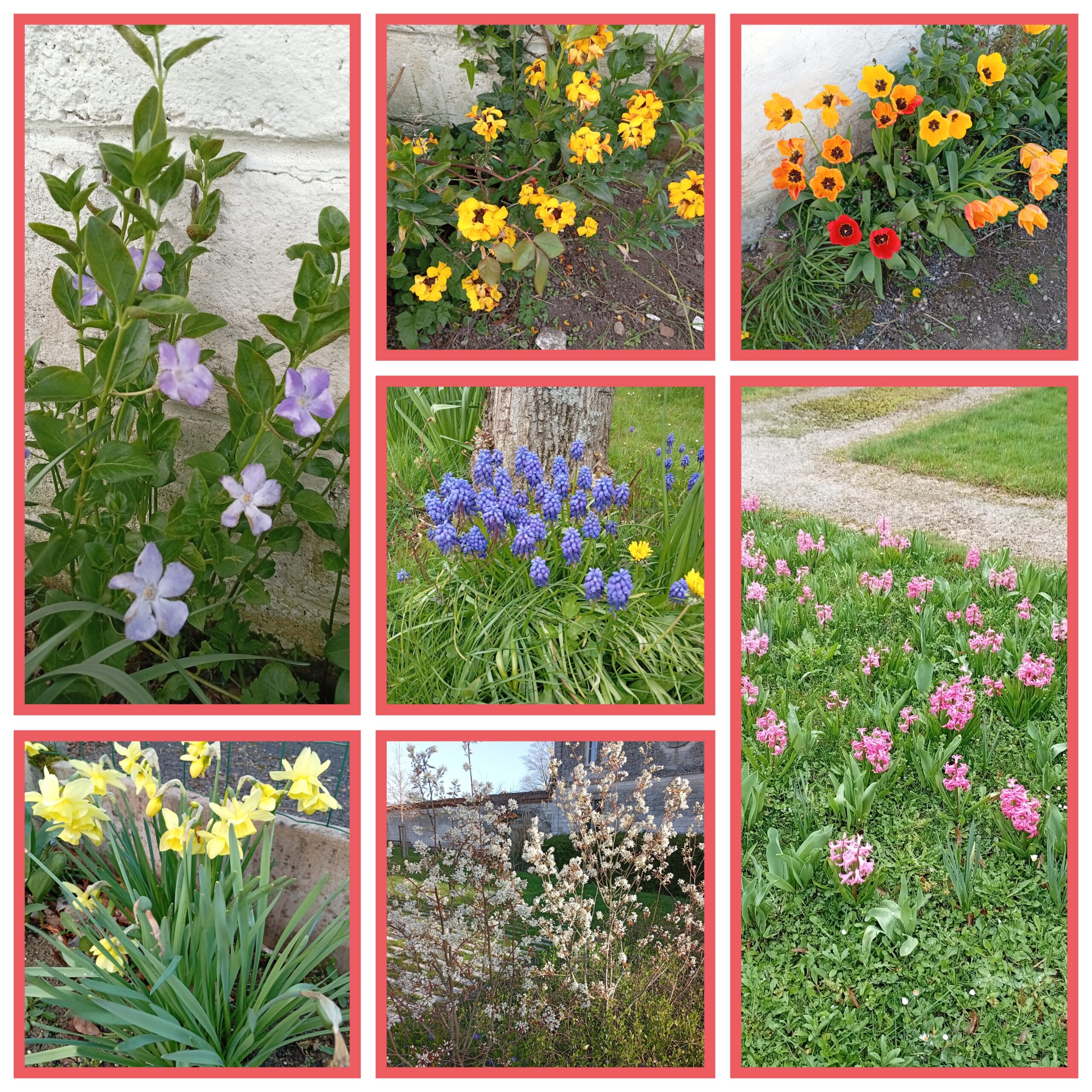 You are currently viewing c&rsquo;est le printemps!